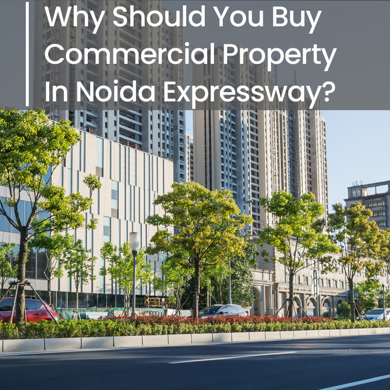 Why Should You Buy Commercial Property In Noida Expressway