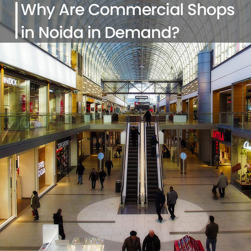 Why Are Commercial Shops in Noida in Demand?